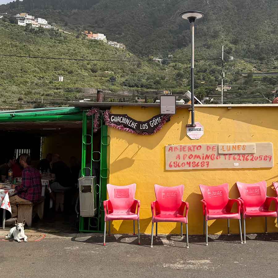 Ep. 272 – Paranoid Hippie Passwords